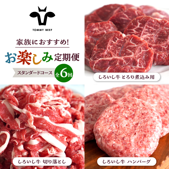 【牧場直送】【6回定期便】しろいし牛 家族向け お楽しみ 定期便（スタンダードコース）【有限会社佐賀セントラル牧場】 [IAH210]