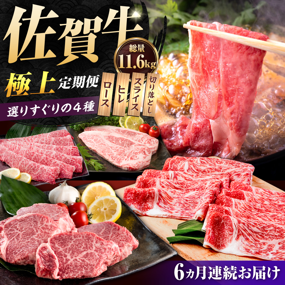 【肉のプロが厳選！】【全6回】佐賀牛 極上 定期便【株式会社いろは精肉店】 [IAG078]