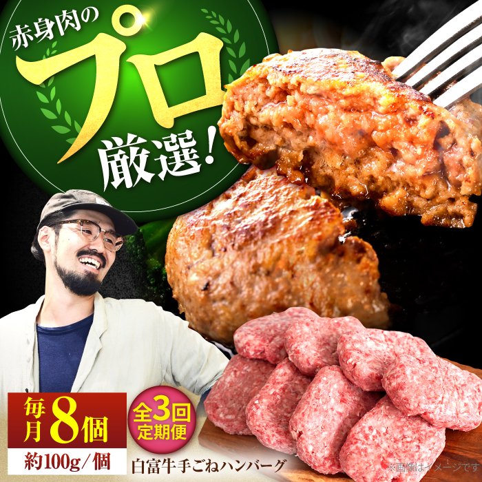 【牧場直送】【3回定期便】白富牛 岩塩と牛肉のみで作った手ごねハンバーグ 100g×8個【有限会社佐賀セントラル牧場】 [IAH054]