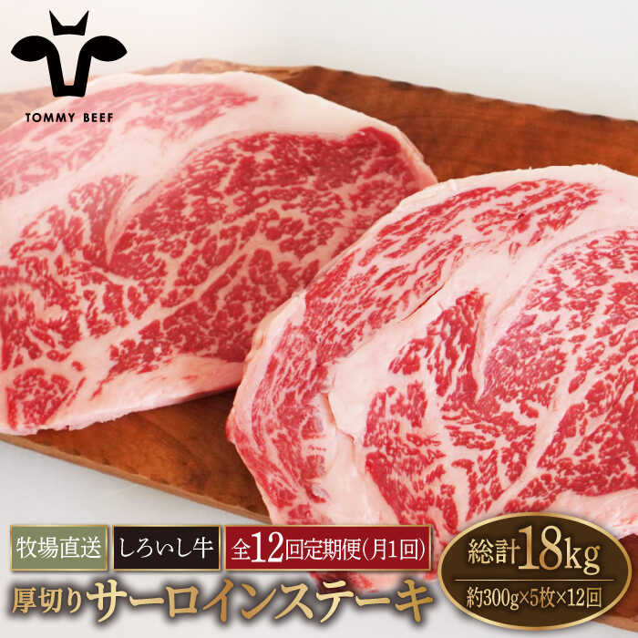 【牧場直送】【12回定期便】佐賀県産 しろいし牛 厚切り サーロインステーキ 1.5kg（約300g×5枚）【有限会社佐賀セントラル牧場】 [IAH162]