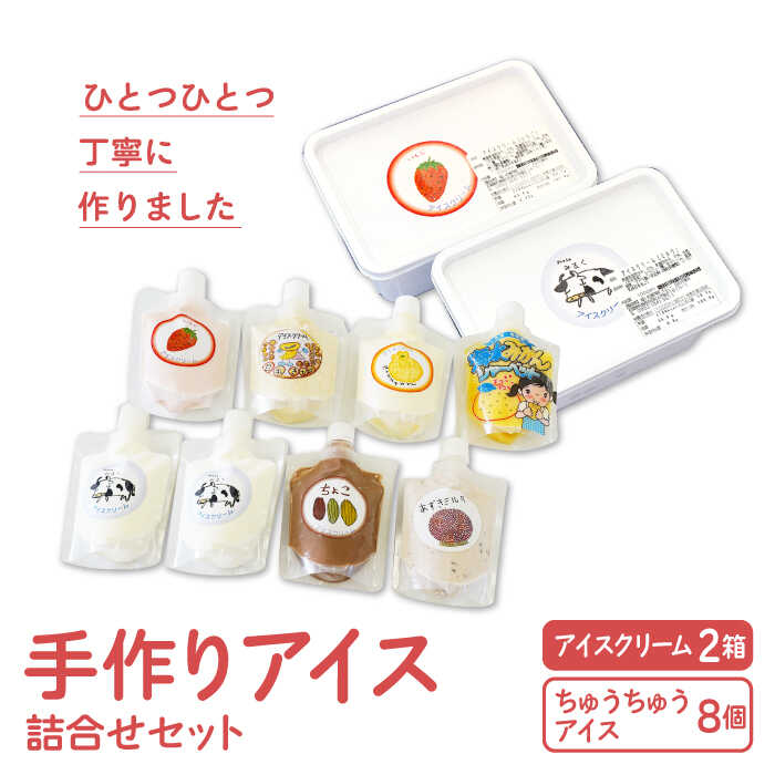 【大容量！おやつにピッタリ♪】手作りアイス詰め合わせセット【佐賀西部コロニー白石作業所】 [ICL003]