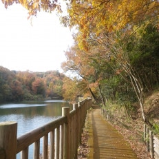 〈1組限定〉けいはんな記念公園ガイド　-季節の里山と生き物-【1209253】