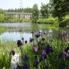 〈1組限定〉けいはんな記念公園ガイド　-日本庭園・里山の楽しみ方-【1209255】