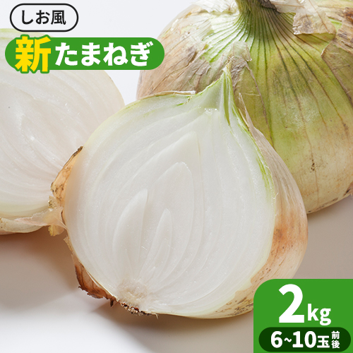 新玉ねぎ【先行予約】 しお風新たまねぎ 約2kg 《5月中旬-6月上旬頃出荷》 玉ねぎ 新たまねぎ 玉葱 たまねぎ 新玉 野菜 青果物 岡山県 笠岡市---kasaoka_zsy_138_2---