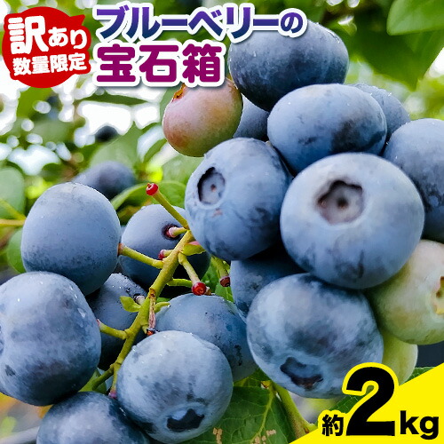 【2026年先行予約】【訳あり数量限定】ブルーベリー 計2kg (500g×4パック) ブルーベリーの宝石箱 かさおか青空ファーム 先行予約《2026年6月上旬-8月下旬頃出荷》 岡山県 笠岡市 送料無料 フルーツ 果物 岡山県産 国産 ブルーベリー お取り寄せ---K-40---