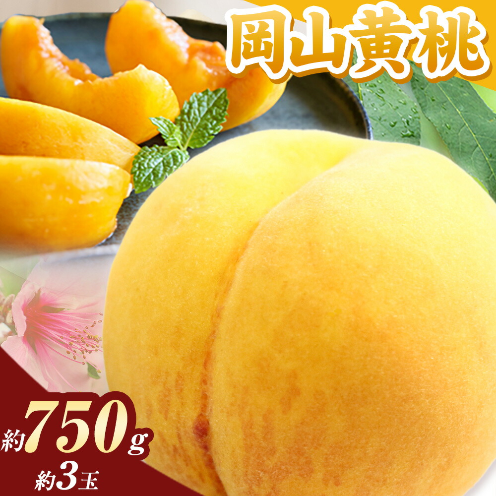 桃 岡山の桃 黄桃 約750g[2025年8月下旬-9月下旬頃出荷] ご家庭用 訳あり 岡山 旬 モモ もも 先行予約 送料無料 果物 岡山県 笠岡市 クール便---kasaoka_zsy_39_075---