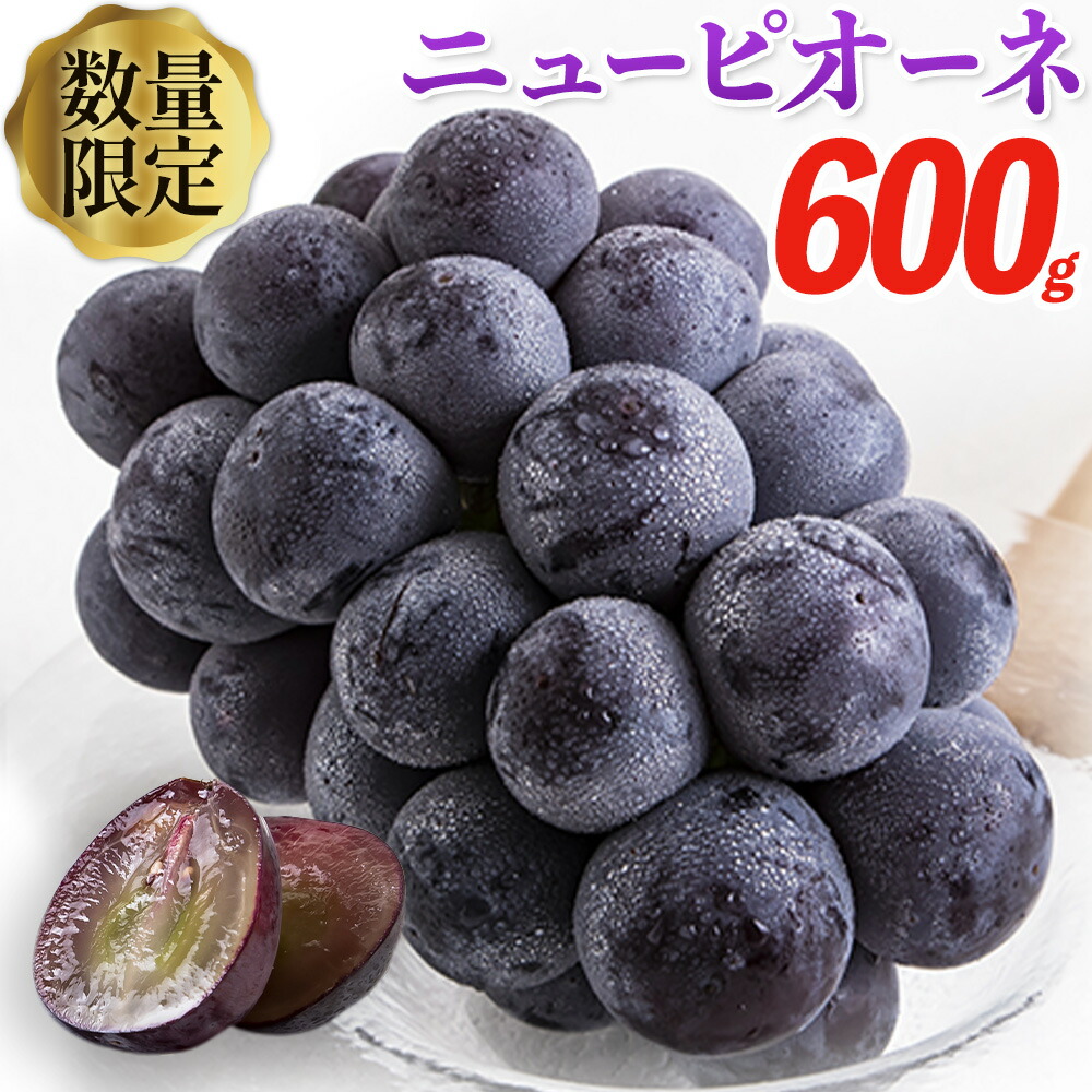 岡山県産 ニューピオーネ 約600g 1房[9月中旬-11月上旬頃出荷(土日祝除く)]岡山県 笠岡市 葡萄 果物 秀品 スイーツ フルーツ デザート 秋旬---kasaoka_zsy_36_06---
