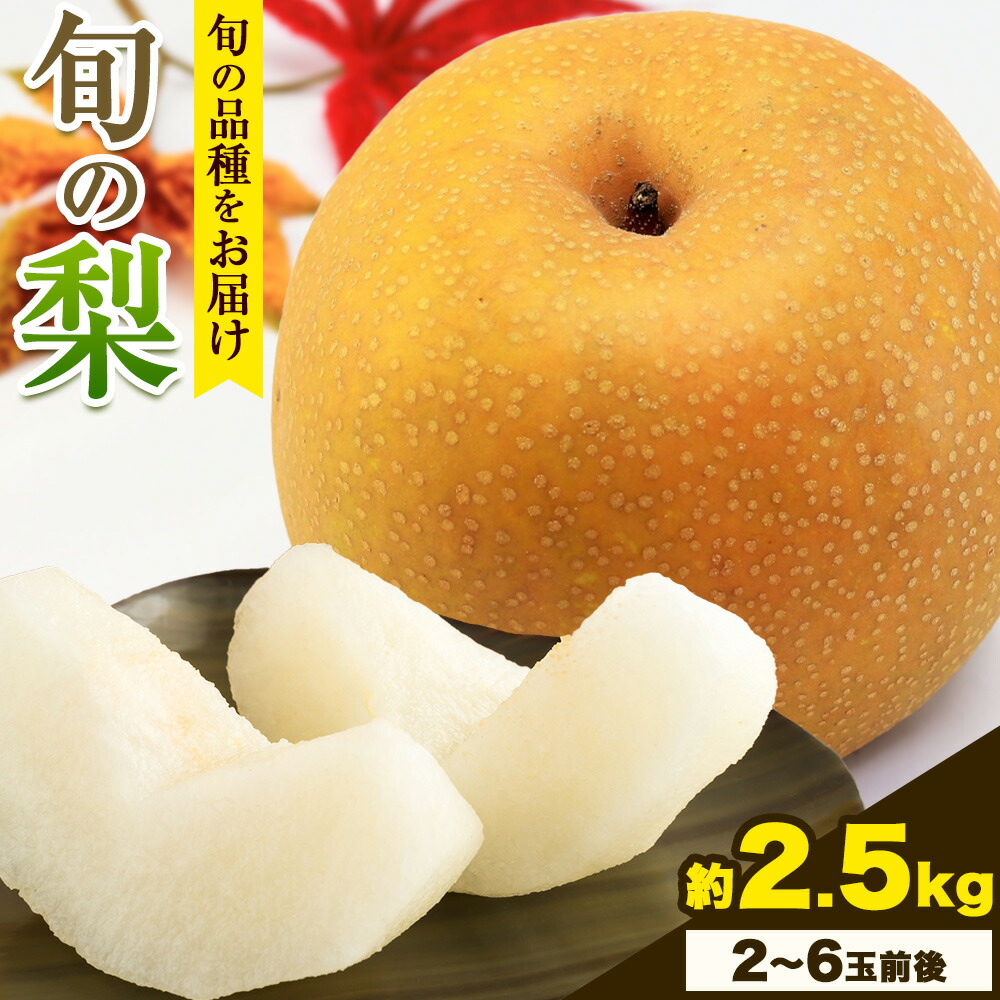 【先行予約】秀品 岡山県産 旬の 梨 約2.5kg 2~6玉前後 梨 秀品 新高 愛宕 スイーツ フルーツ デザート 旬 岡山県 笠岡市《9月上旬-1月末頃に出荷予定》---kasaoka_zsy_47_25---