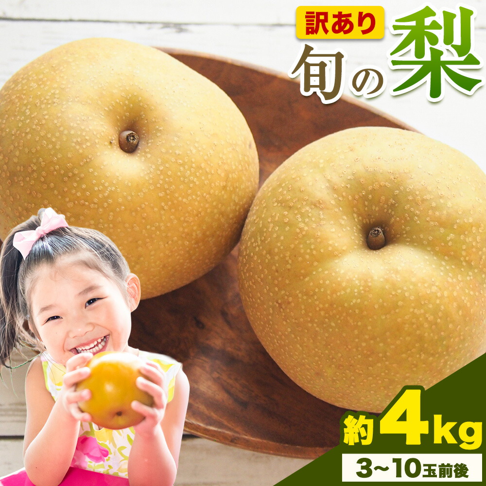 【先行予約】訳あり 旬の梨 約4kg 3-10玉前後 岡山県産 梨 訳あり 新高 愛宕 王秋梨 鴨梨 岡山 笠岡市《9月上旬-1月末頃に出荷予定》数量限定 梨 なし ナシ---kasaoka_zsy_50_40---