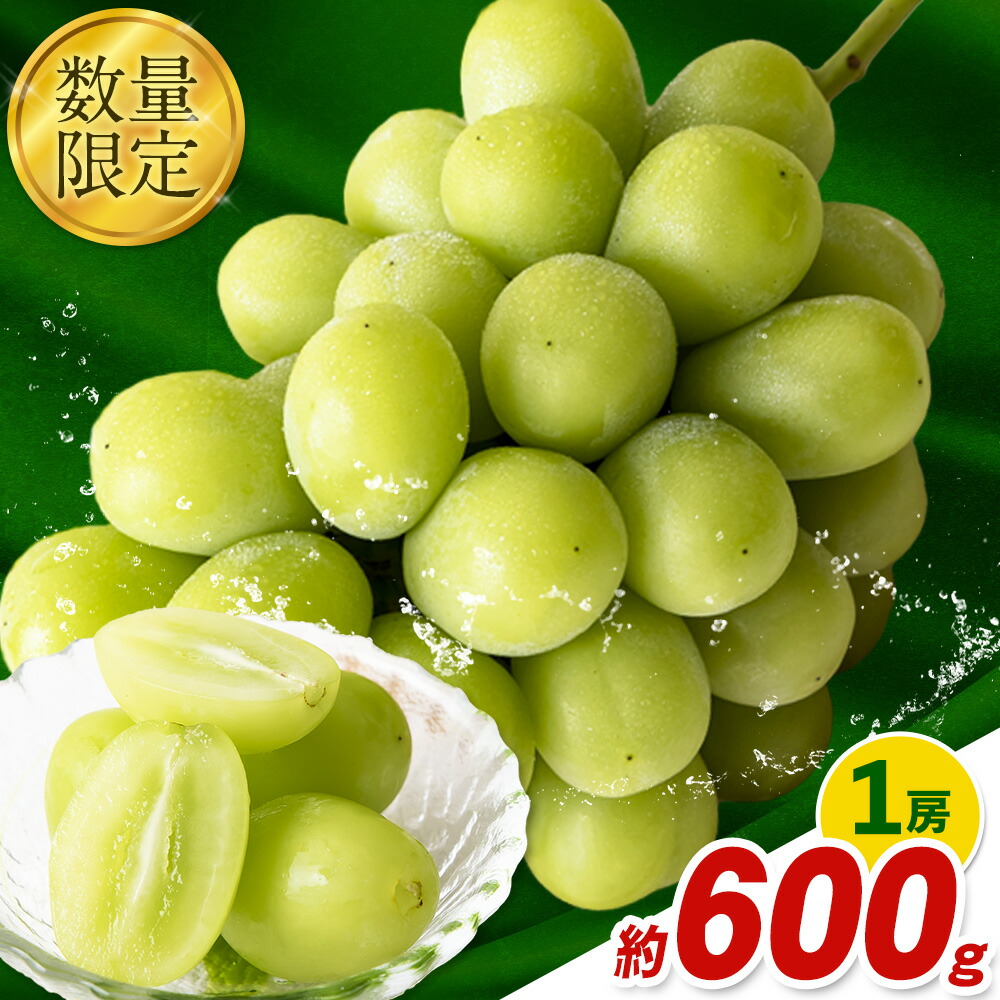 秀品 シャインマスカット 岡山 秋旬 数量限定 大粒 約600g1房 産地直送 葡萄 果物 秀品 スイーツ フルーツ デザート 岡山県 笠岡市 簡易包装 [9月中旬〜11月上旬頃に出荷予定(土日祝除く)]---kasaoka_zsy_34_06---
