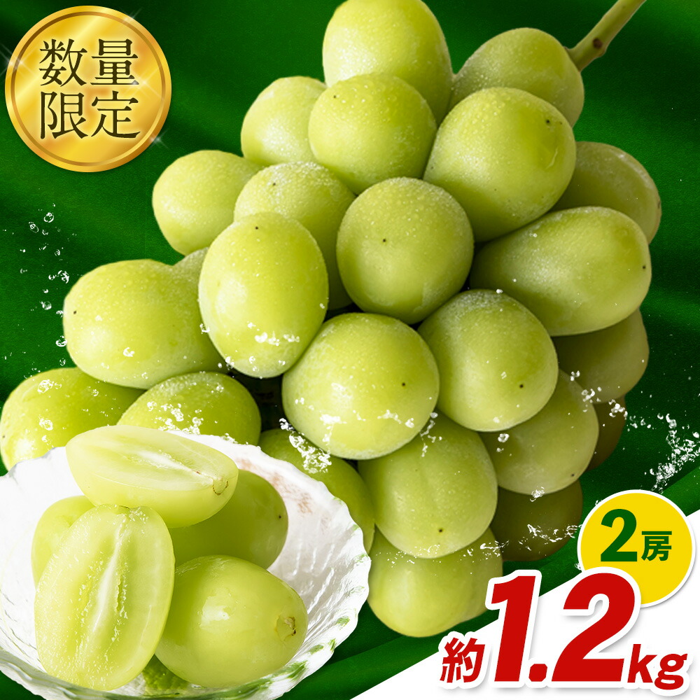 秀品 シャインマスカット 岡山 秋旬 数量限定 大粒 約1.2kg2房 産地直送 葡萄 果物 秀品 スイーツ フルーツ デザート 岡山県 笠岡市 簡易包装 [9月中旬〜11月上旬頃に出荷予定(土日祝除く)]---kasaoka_zsy_35_12---