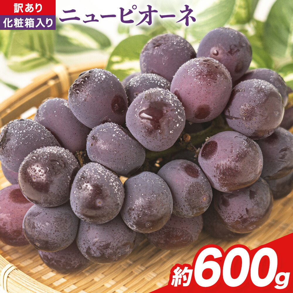 [先行予約]岡山県産 ニューピオーネ 約600g(1房) [9月中旬-11月上旬頃出荷(土日祝除く)]岡山県 笠岡市 葡萄 果物 秋旬 訳あり 優品 厳選出荷 スイーツ フルーツ デザート 数量限定 2025---kasaoka_zsy_41_06---