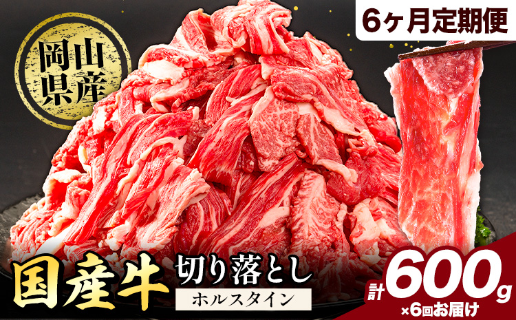 牛肉 肉 国産牛 切り落とし ホルスタイン 大容量 小分け 600g × 6ヶ月定期便 《お申込み月の翌月から出荷開始》岡山県産 岡山県 笠岡市 お肉 にく カレー 牛丼 牛肉 切り落し 小分け 切落し 牛肉 小分け 牛肉---kasaoka_zsytei_133_600g---