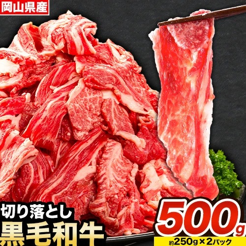牛肉 肉 黒毛和牛 切り落とし 訳あり 大容量 小分け 500g 1パック 250g 《30日以内に出荷予定(土日祝除く)》岡山県産 岡山県 笠岡市 お肉 にく カレー 牛丼 牛肉 切り落し 小分け 切落し 牛肉 小分け 牛肉----kasaoka_zsy_111_500g---