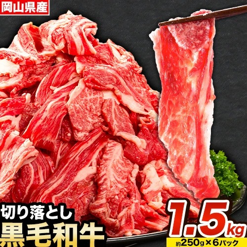 牛肉 肉 黒毛和牛 切り落とし 訳あり 大容量 小分け 1.5kg 1パック 250g 《30日以内に出荷予定(土日祝除く)》岡山県産 岡山県 笠岡市 お肉 にく カレー 牛丼 牛肉 切り落し 小分け 切落し 牛肉 小分け 牛肉---kasaoka_zsy_113_1500g---