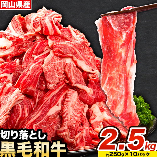 牛肉 肉 黒毛和牛 切り落とし 訳あり 大容量 小分け 2.5kg 1パック 250g 《30日以内に出荷予定(土日祝除く)》岡山県産 岡山県 笠岡市 お肉 にく カレー 牛丼 牛肉 切り落し 小分け 切落し 牛肉 小分け 牛肉---kasaoka_zsy_115_2500g---