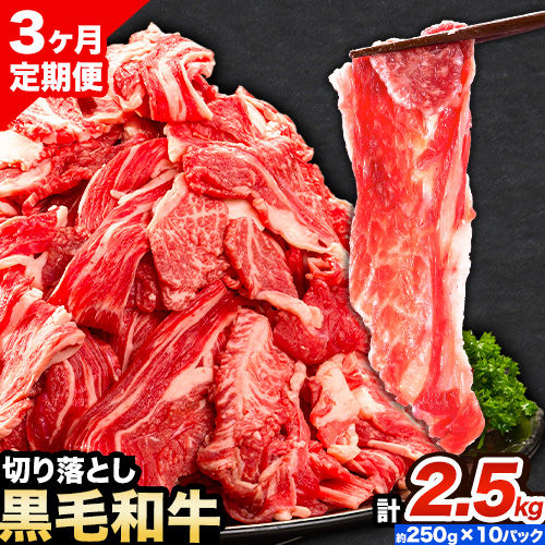 牛肉【3ヶ月定期便】 肉 黒毛和牛 切り落とし 訳あり 大容量 小分け 2.5kg 1パック 250g 定期便《お申込み月翌月から出荷開始》岡山県産 岡山県 笠岡市 お肉 にく カレー 牛丼 切り落し 切落し---kasaoka_zsytei_125_2500g---