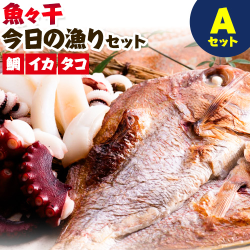 魚々干 今日の漁りセット Aセット 灰干し 鯛 イカ タコ 特定非営利活動法人 かさおか島づくり海社[45日以内に出荷予定(土日祝除く)]岡山県 笠岡市 魚 さかな 干し おまかせ 詰め合わせ 天然魚介 魚介---A-135---