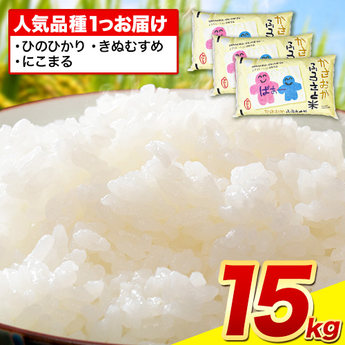 【令和8年1月発送】【先行予約】令和7年産 15kg 米 予約 ふるさと米 備中笠岡 人気品種をお届け! 国産 ヒノヒカリ にこまる きぬむすめ お米 ブランド米 おにぎり 弁当 単一原料米 お取り寄せ 送料無料 岡山県産---R7-15k-R0801-36000---