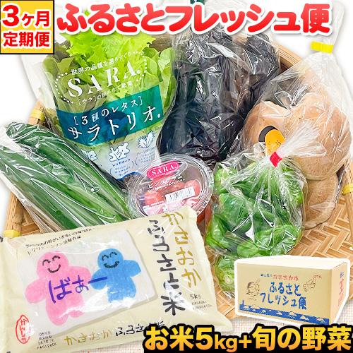 【3ヶ月定期便】ふるさとフレッシュ便 米 5kg 野菜 5種 JA晴れの国岡山 笠岡アグリセンター 米5kg 旬の野菜5種類 笠岡ふるさと米 野菜 送料無料 岡山県 笠岡市《お申込月の翌月より発送》---E-05---