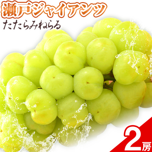 2024年産先行予約】たたらみねらる 瀬戸ジャイアンツ 2房 約1.2kg Y＆G.ディストリビューター株式会社《8月下旬-10月下旬頃出荷》岡山県  笠岡市 マスカット ぶどう ブドウ 葡萄 フルーツ 果物 提供企業 Ｙ＆Ｇ．ディストリビューター株式会社---2-22a--- 岡山県笠岡市 ...