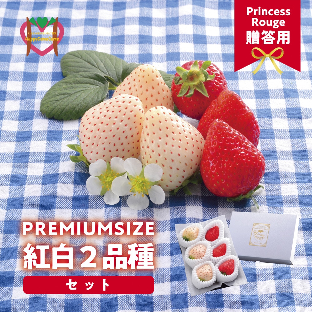 いちご 笠岡産 PrincessROUGE 贈答用 PREMIUM SIZE 紅白2品種セット[2024年12月中旬-3月下旬頃出荷]---A-125a---