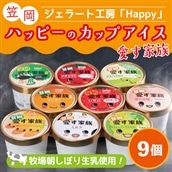 笠岡ジェラート工房ハッピーのカップアイス(愛す家族)9個セット《45日以内に出荷予定(土日祝除く)》---A-35---