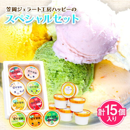 笠岡ジェラート工房ハッピーのスペシャルセット( 野菜 ・ 果物 、 ひまわりの種 )15個セット 《45日以内に出荷予定(土日祝除く)》 ジェラート アイス ミルク ヒマワリの種 野菜 果物 笠岡ジェラート工房ハッピーのカップアイス15個---H-20---