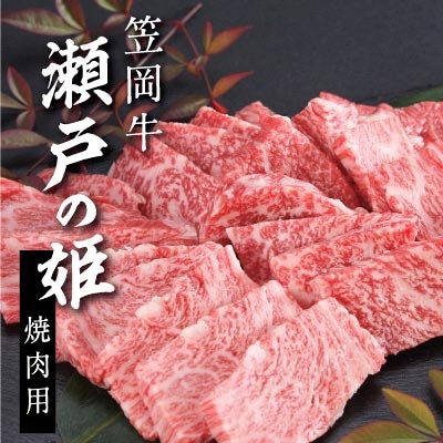 瀬戸の姫(焼肉用) 《45日以内に出荷予定(土日祝除く)》---B-07---