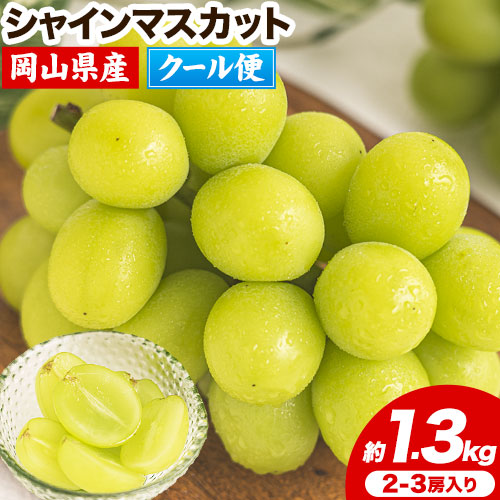 【2026年発送先行予約】 シャインマスカット 岡山 約1.3kg 2-3房 厳選 旬 ぶどう ブドウ 葡萄 マスカット 果物 フルーツ ギフト 岡山県 笠岡市 訳あり クール便 爽やか 贅沢《2026年9月上旬-11月中旬頃出荷》---kasaoka_zsy_221_13---