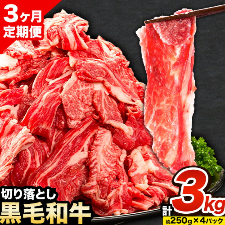 牛肉 肉 黒毛和牛 切り落とし 訳あり 大容量 小分け【定期便】 1kg 1パック 250g 3回 《お申込月の翌月より発送》岡山県産 岡山県 笠岡市 お肉 にく カレー 牛丼 切り落し 切落し---kasaoka_zsytei_119_1kg---