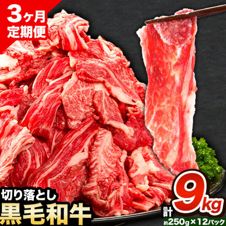 牛肉 肉 黒毛和牛 切り落とし 訳あり 大容量 小分け【定期便】 3kg 1パック 250g 3回 《お申込月の翌月より発送》岡山県産 岡山県 笠岡市 お肉 にく カレー 牛丼 切り落し 切落し---kasaoka_zsytei_127_3kg---