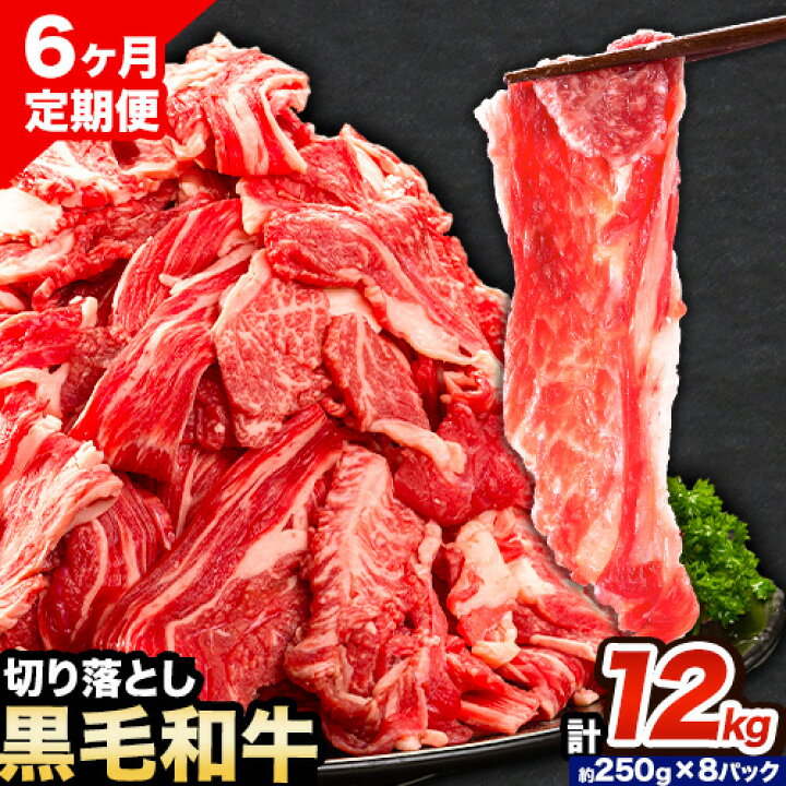 牛肉 肉 黒毛和牛 切り落とし 訳あり 大容量 小分け【定期便】 2kg 1パック 250g 6回 《お申込月の翌月より発送》岡山県産 岡山県 笠岡市 お肉 にく カレー 牛丼 切り落し 切落し---kasaoka_zsytei_124_2kg---