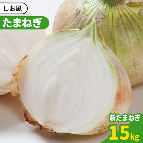 【先行予約】 しお風新たまねぎ 約15kg 《5月中旬-6月上旬頃出荷》 玉ねぎ 新たまねぎ 玉葱 たまねぎ 新玉 野菜 青果物 岡山県 笠岡市---kasaoka_zsy_141_15---