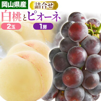 [2026年発送先行予約]岡山産白桃とピオーネの詰合わせ もも 桃 白桃 葡萄 ブドウ ぶどう ピオーネ フルーツ セット [2026年7月中旬-8月上旬頃出荷] 晴れの国おかやま館 フルーツ 果物 果実 岡山県 笠岡市---A-109c---