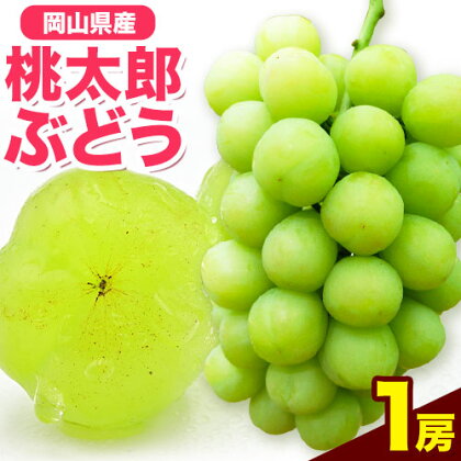 岡山県産桃太郎ぶどう(1房680g以上)1房入り 令和7年産先行受付[9月上旬‐10月中旬頃出荷][配送不可地域あり]---H-26a---