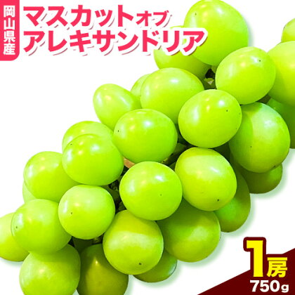 岡山県産マスカット(マスカット オブ アレキサンドリア 1房750g以上)令和7年産先行受付[7月上旬‐8月中旬頃出荷][配送不可地域あり]---H-27a---