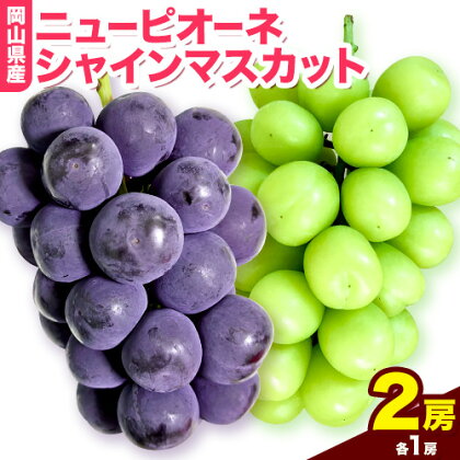 岡山県産ニューピオーネ(1房580g以上)&シャインマスカット「晴王」(1房580g以上)(令和7年産先行受付)[9月上旬-10月中旬頃出荷][配送不可地域あり]---H-40a--- 290387 岡山県笠岡市