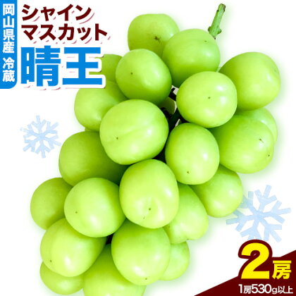 岡山県産 冷蔵シャインマスカット(1房530g以上2房入り)令和7年度産先行受付[11月中旬‐12月中旬頃出荷][配送不可地域あり]---H-28a---