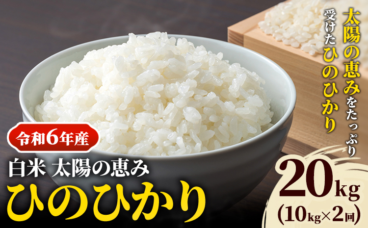 【令和6年産 予約受付】白米 岡山県産 ひのひかり 笠岡産 20kg(10kg×2回)《10月下旬-9月下旬頃出荷》農事組合法人奥山営農組合 太陽の恵み---O-06_20k_白米---
