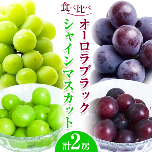 ぶどう 葡萄 岡山県産 シャインマスカット オーロラブラック 計2房 (各1房ずつ 各550~600g) 佐々木農園《8月中旬-9月末頃出荷》岡山県 笠岡市 送料無料 マスカット フルーツ 果物 ブドウ オーロラ ブラック お取り寄せフルーツ【配送不可地域あり】---B-65a---