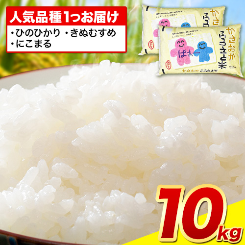 [令和7年7月発送]令和6年産 笠岡ふるさと米 10kg 米 備中笠岡 人気品種をお届け! 国産 ヒノヒカリ にこまる きぬむすめ お米 ブランド米 おにぎり 弁当 単一原料米 お取り寄せ 送料無料 岡山県産---R6-10k-R0707-28000---