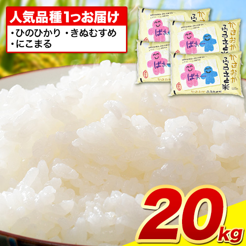 【令和8年2月発送】【先行予約】米 令和7年産 20kg ふるさと米 備中笠岡 人気品種をお届け! 国産 ヒノヒカリ にこまる きぬむすめ お米 ブランド米 ふっくら ハリ おにぎり 弁当 単一原料米 検査済み お取り寄せ 送料無料 岡山県産---R7-20k-R0802-48000---