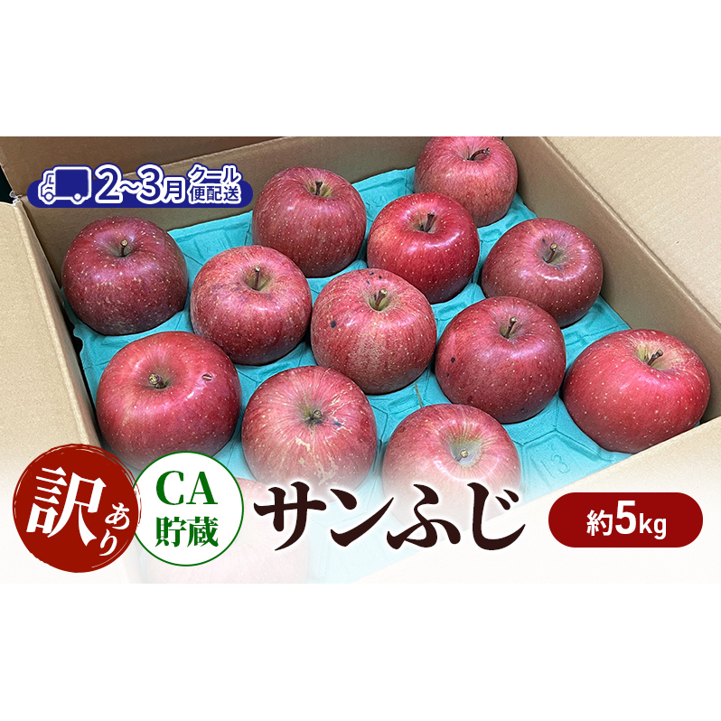 りんご 【2-3月クール便配送】 CA貯蔵 訳あり サンふじ 約 5kg リンゴ 果物 訳アリ 青森県 鶴田町