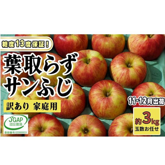 11～12月発送【 糖度保証 】家庭用 葉取らず サンふじ 約 3kg【 訳あり 】鶴翔りんごGAP部会 青森県産 津軽産 リンゴ 林檎 果物 フルーツ デザート 甘味 酸味 食感