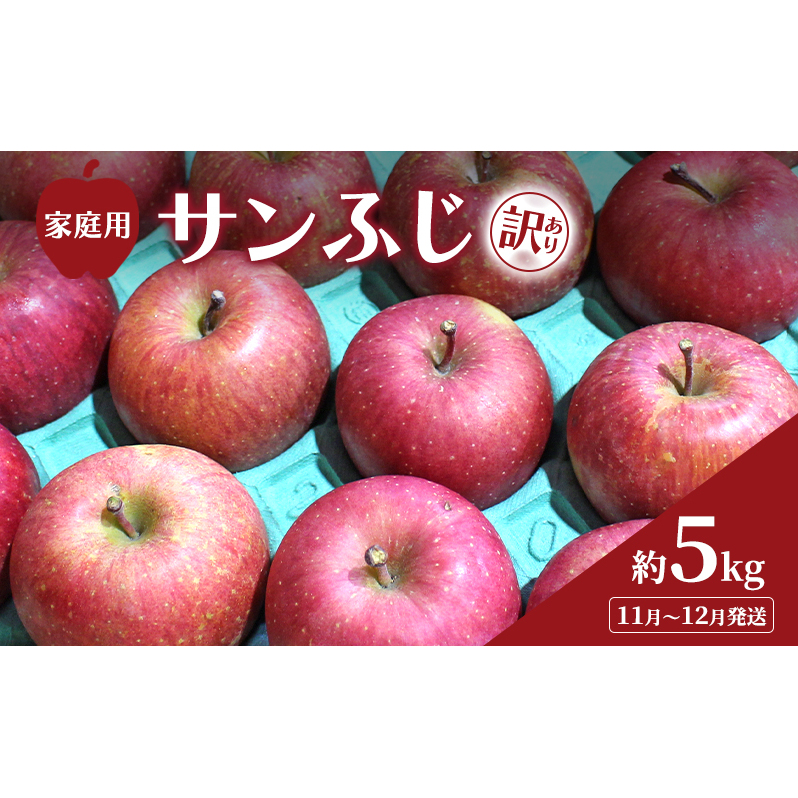 11月～12月発送 家庭用 訳あり サンふじ 約 5kg りんご リンゴ 林檎 果物 フルーツ わけあり 青森