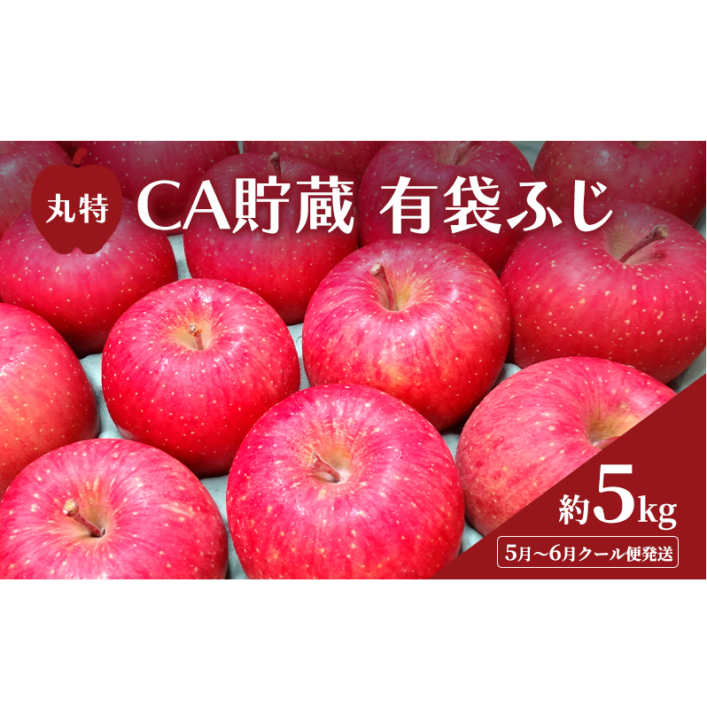 5月~6月 クール便発送 丸特 CA貯蔵 有袋ふじ 約 5kg アイスBOXクール便 りんご リンゴ 林檎 果物 フルーツ 青森