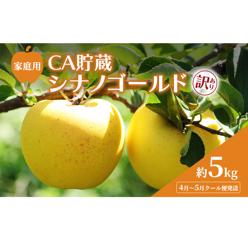 4月~5月 クール便発送 家庭用 訳あり CA貯蔵 シナノゴールド 約 5kg りんご リンゴ 林檎 果物 フルーツ わけあり 青森