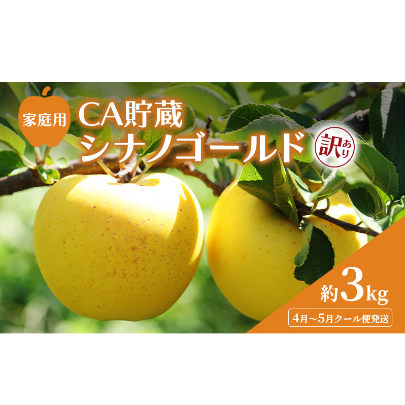 4月~5月 クール便発送 家庭用 訳あり CA貯蔵 シナノゴールド 約 3kg りんご リンゴ 林檎 果物 フルーツ わけあり 青森