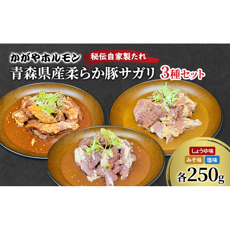 かがやホルモン 秘伝自家製たれ 当店自慢 青森県産 柔らか 豚 サガリ 3種 セット みそ味 しょうゆ味 塩味 肉 豚肉 味付け肉 真空パック